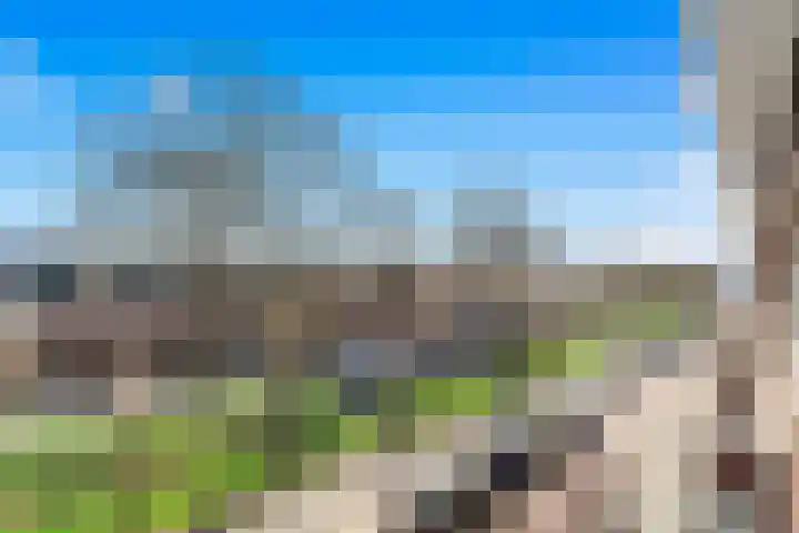 Laan van Meerdervoort 765 Den Haag thumbnail 52