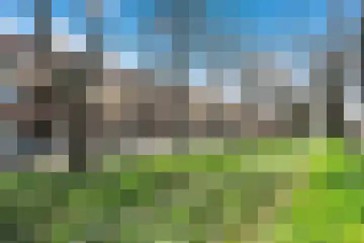 Laan van Meerdervoort 765 Den Haag thumbnail 53