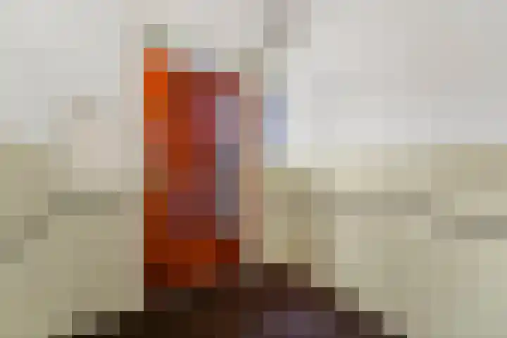 Laan van Meerdervoort 765 Den Haag thumbnail 7