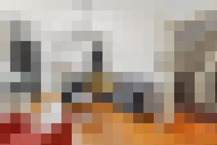 Laan van Meerdervoort 765 Den Haag thumbnail 9