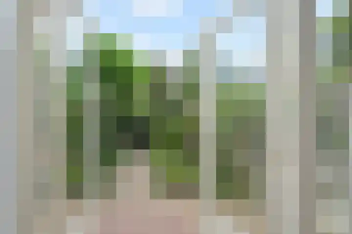 Laan van Meerdervoort 775 Den Haag thumbnail 20