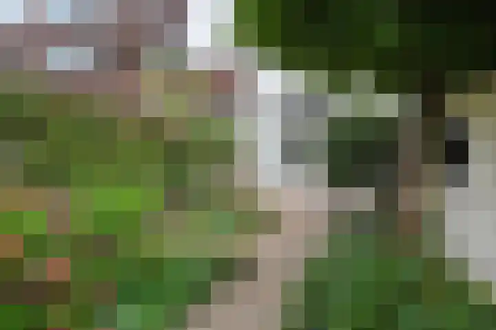 Laan van Meerdervoort 775 Den Haag thumbnail 21