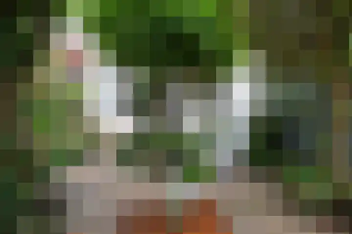 Laan van Meerdervoort 775 Den Haag thumbnail 22