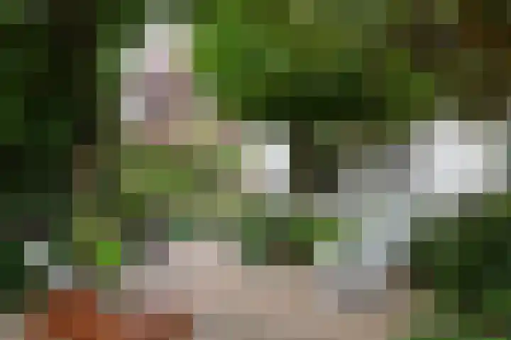Laan van Meerdervoort 775 Den Haag thumbnail 23