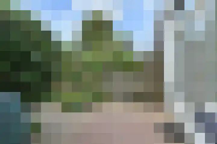 Laan van Meerdervoort 775 Den Haag thumbnail 24