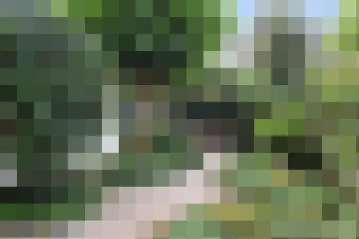 Laan van Meerdervoort 775 Den Haag thumbnail 26