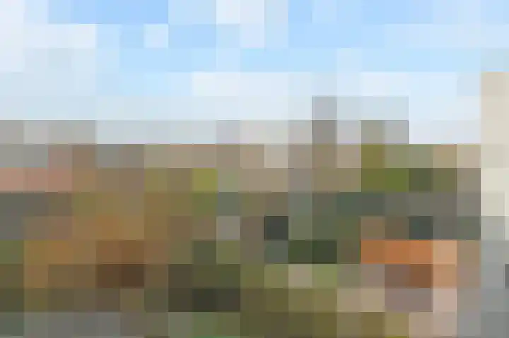 Laan van Meerdervoort 775 Den Haag thumbnail 39