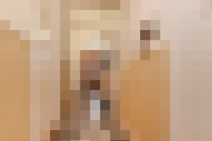 Laan van Meerdervoort 775 Den Haag thumbnail 4