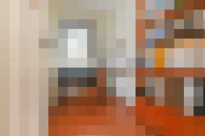 Laan van Meerdervoort 775 Den Haag thumbnail 41