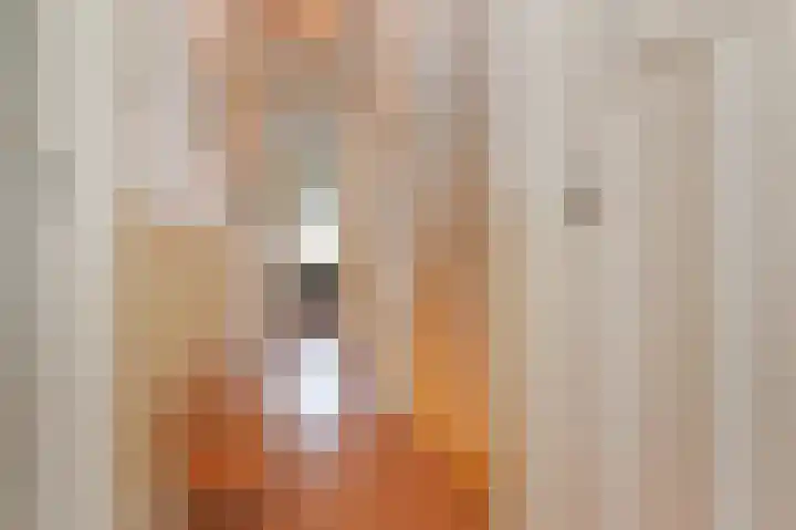 Laan van Meerdervoort 775 Den Haag thumbnail 46