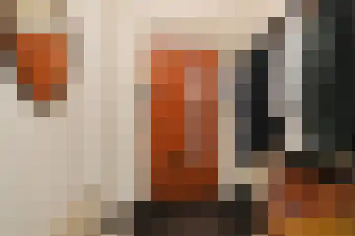 Laan van Meerdervoort 775 Den Haag thumbnail 5