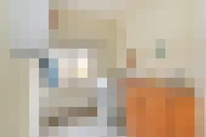 Laan van Meerdervoort 775 Den Haag thumbnail 52