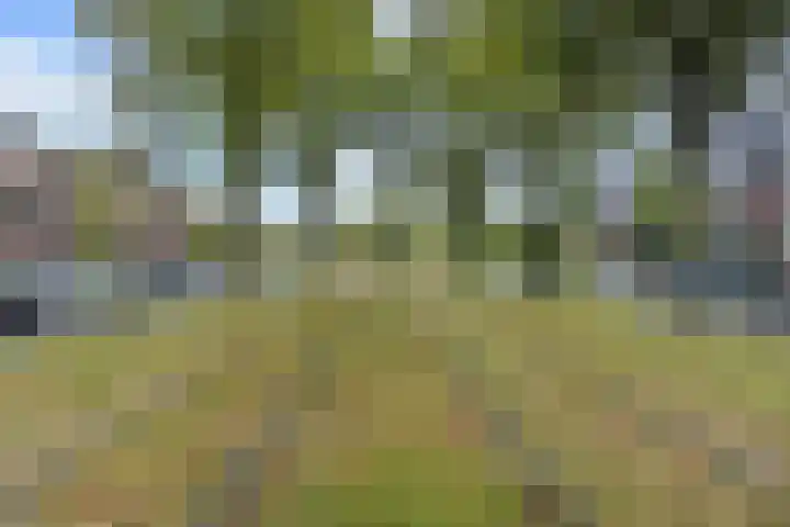 Laan van Meerdervoort 775 Den Haag thumbnail 55