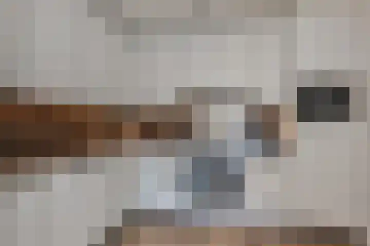 Laan van Meerdervoort 84 17 Den Haag thumbnail 18
