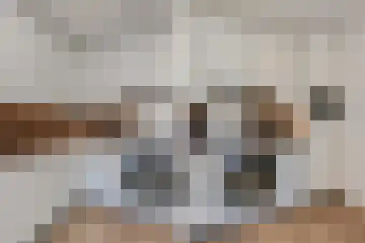 Laan van Meerdervoort 84 17 Den Haag thumbnail 20