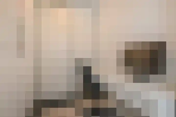 Laan van Meerdervoort 84 17 Den Haag thumbnail 30