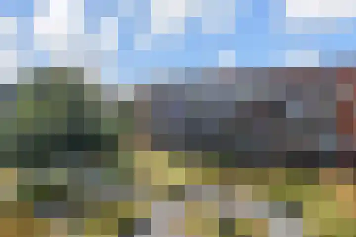 Laan van Meerdervoort 84 17 Den Haag thumbnail 39