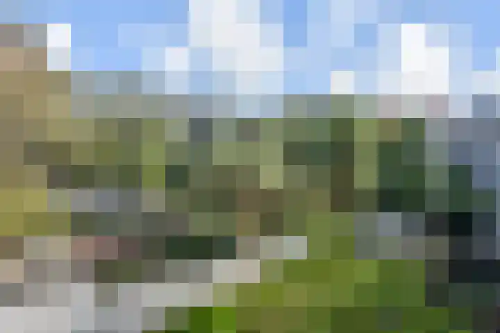 Laan van Meerdervoort 84 17 Den Haag thumbnail 40