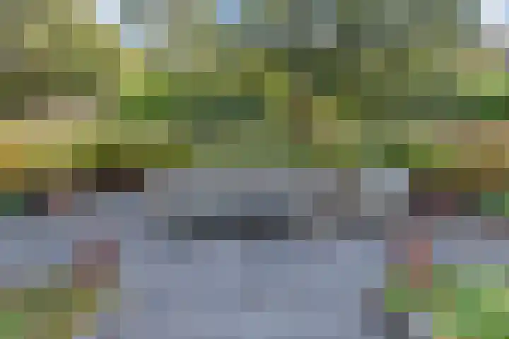 Laan van Meerdervoort 84 17 Den Haag thumbnail 48