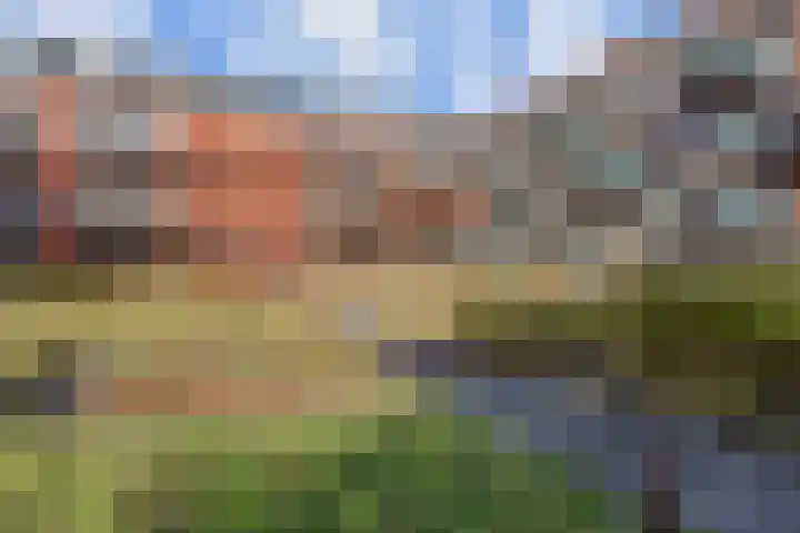 Laan van Meerdervoort 84 17 Den Haag thumbnail 49