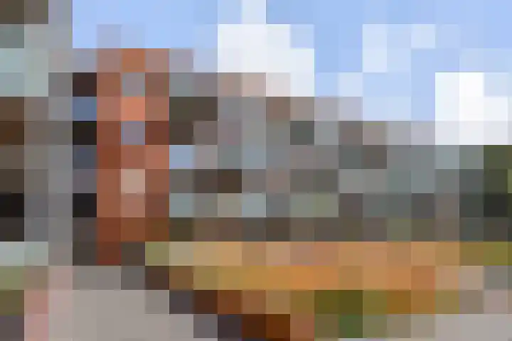 Laan van Meerdervoort 84 17 Den Haag thumbnail 50
