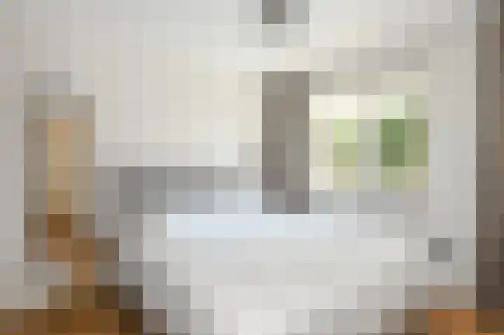 Laan van Meerdervoort 84 20 Den Haag thumbnail 24