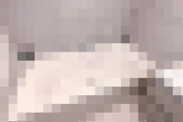 Laan van Meerdervoort 84 20 Den Haag thumbnail 27