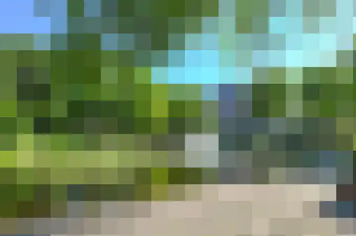 Laan van Meerdervoort 84 20 Den Haag thumbnail 39
