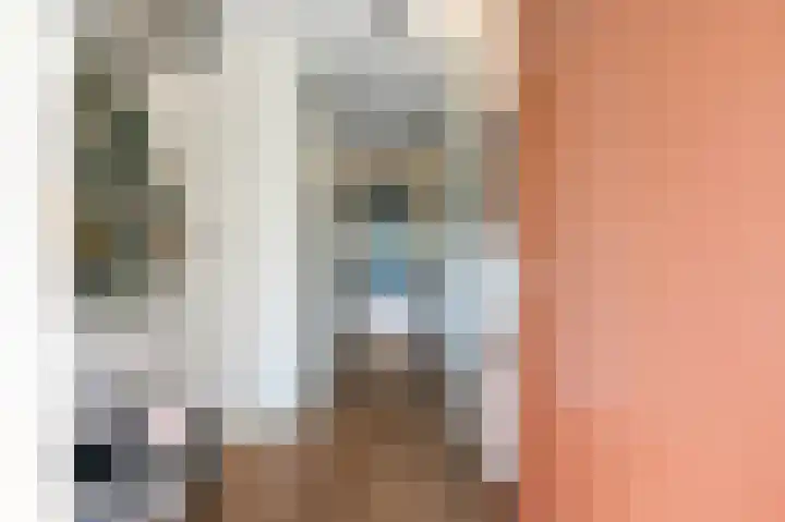 Laan van Meerdervoort 84 20 Den Haag thumbnail 8