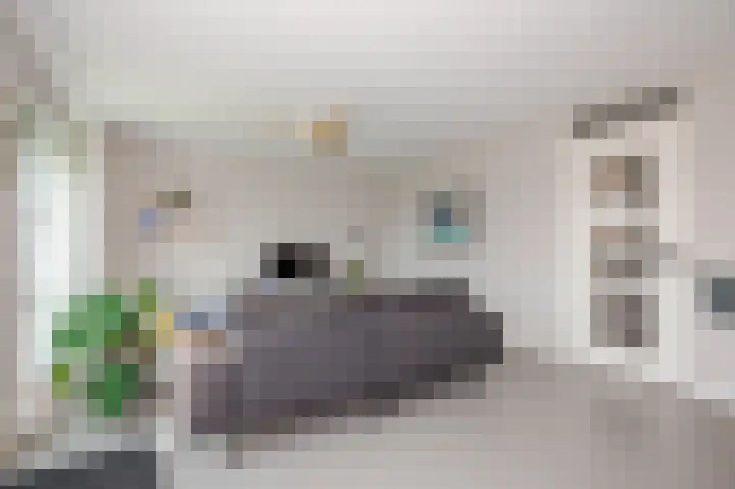 Laan van Meerdervoort 84 31 Den Haag thumbnail 15