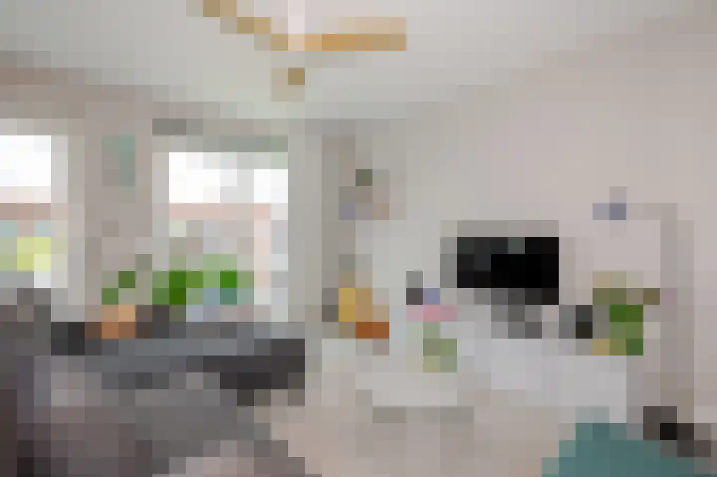 Laan van Meerdervoort 84 31 Den Haag thumbnail 16