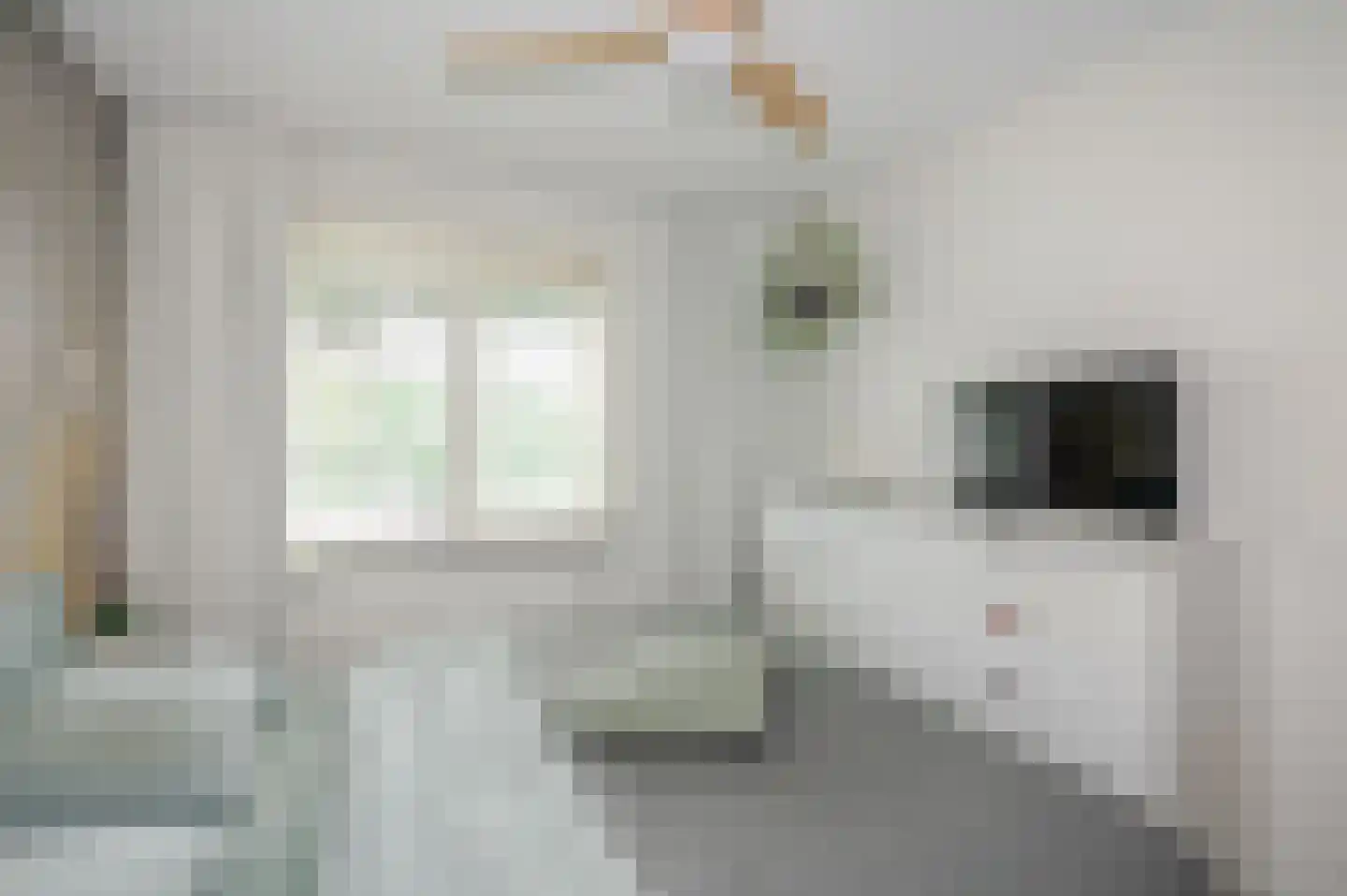 Laan van Meerdervoort 84 31 Den Haag thumbnail 36