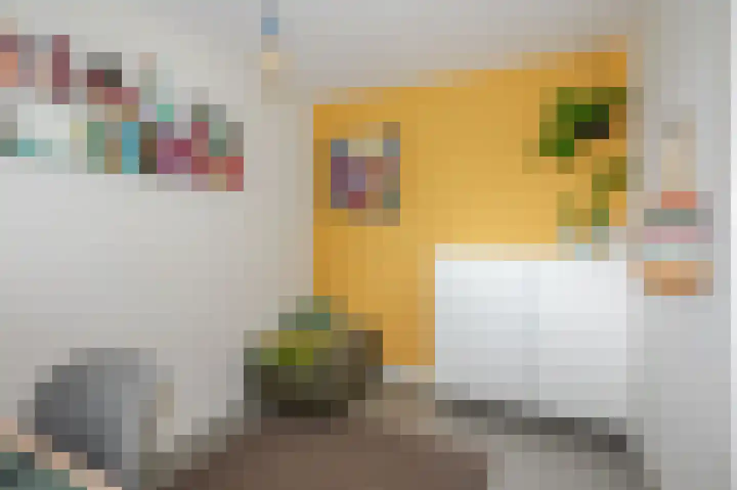 Laan van Meerdervoort 84 31 Den Haag thumbnail 41