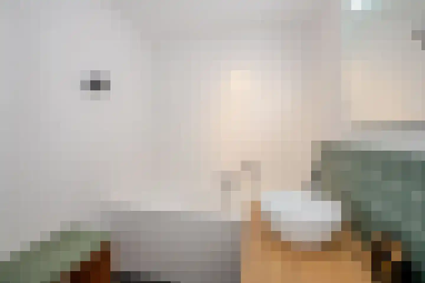 Laan van Meerdervoort 84 31 Den Haag thumbnail 42