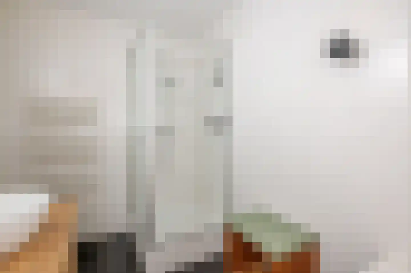 Laan van Meerdervoort 84 31 Den Haag thumbnail 45