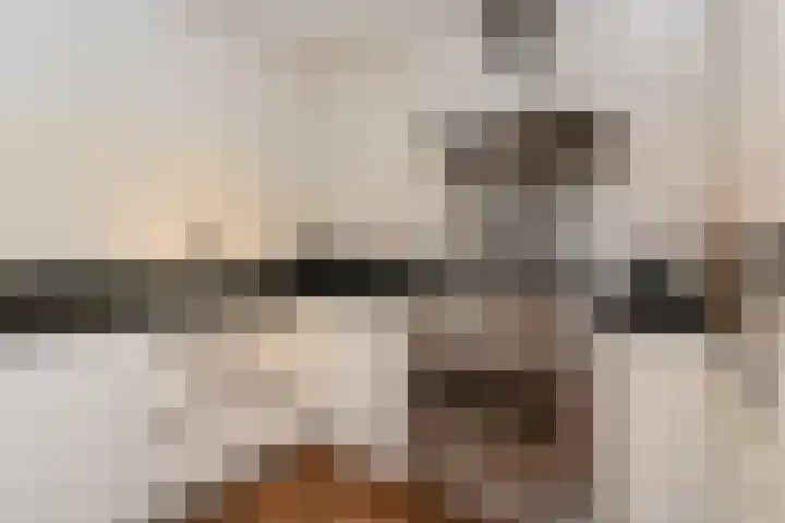 Laan van Meerdervoort 84 44 Den Haag thumbnail 18