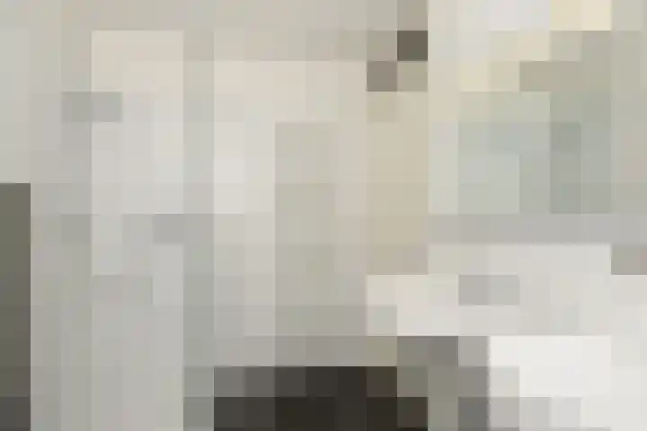 Laan van Meerdervoort 84 44 Den Haag thumbnail 23