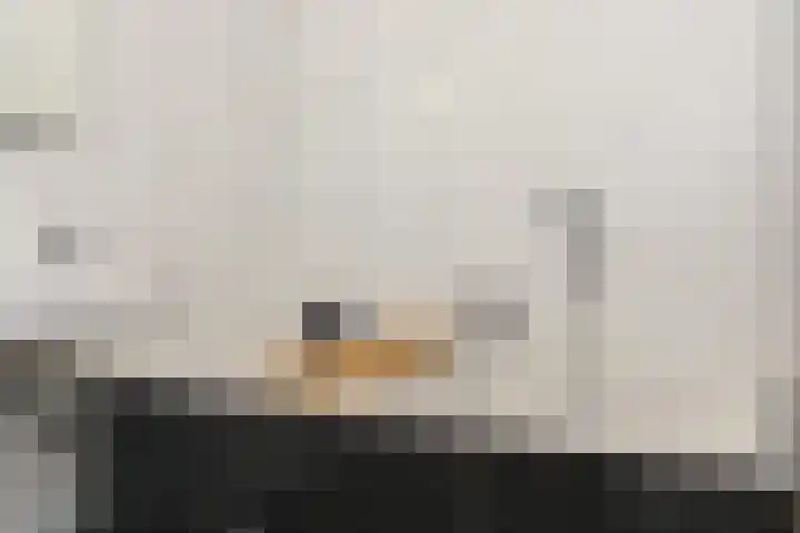 Laan van Meerdervoort 84 44 Den Haag thumbnail 24