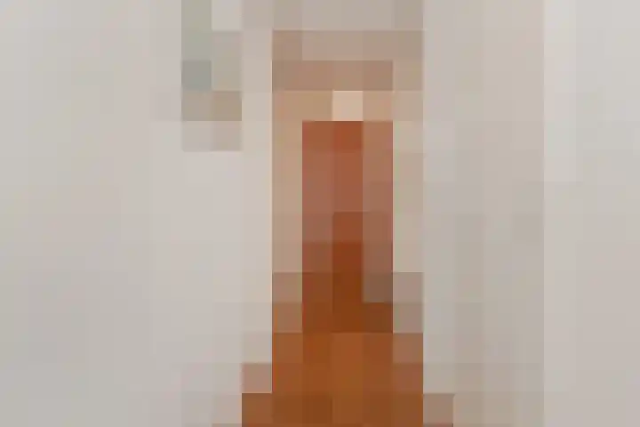 Laan van Meerdervoort 84 44 Den Haag thumbnail 29