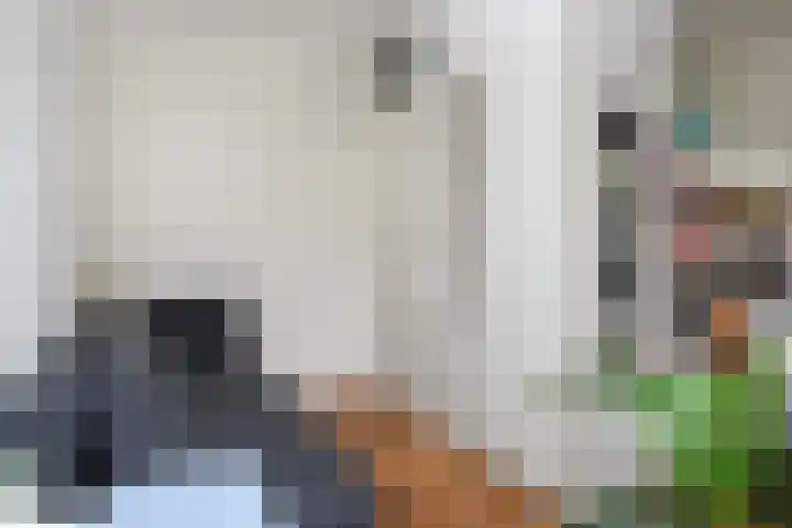 Laan van Meerdervoort 84 44 Den Haag thumbnail 35