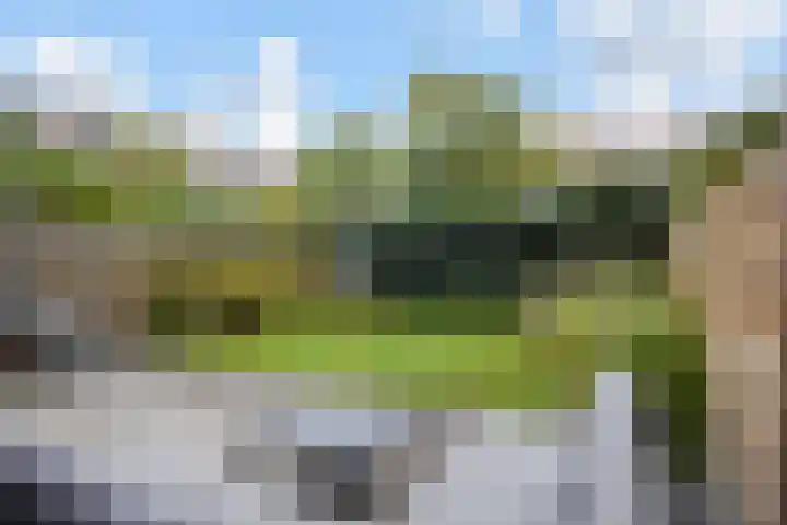 Laan van Meerdervoort 84 44 Den Haag thumbnail 45