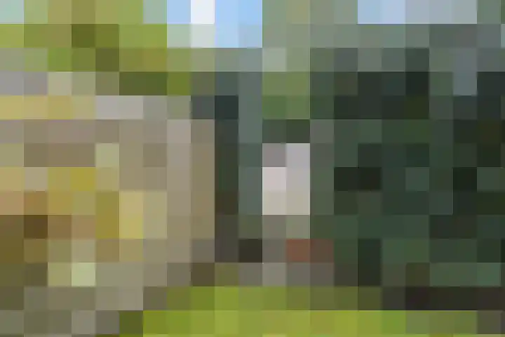 Laan van Meerdervoort 84 44 Den Haag thumbnail 47