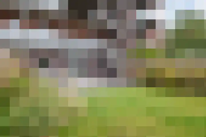 Laan van Meerdervoort 84 44 Den Haag thumbnail 49