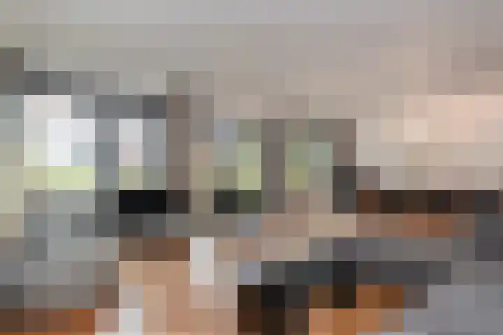 Laan van Meerdervoort 84 44 Den Haag thumbnail 5