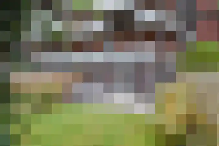 Laan van Meerdervoort 84 44 Den Haag thumbnail 50