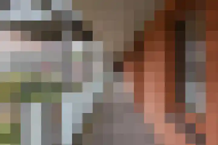 Laan van Meerdervoort 84 44 Den Haag thumbnail 57