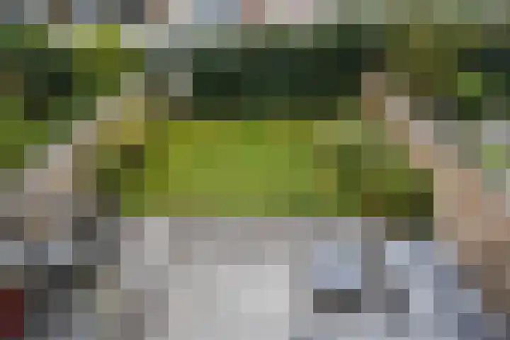 Laan van Meerdervoort 84 44 Den Haag thumbnail 58