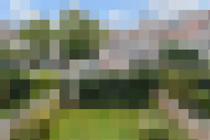 Laan van Meerdervoort 84 44 Den Haag thumbnail 59