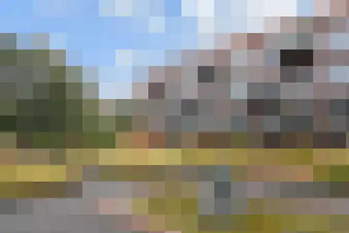 Laan van Meerdervoort 84 44 Den Haag thumbnail 61