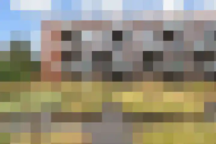 Laan van Meerdervoort 84 44 Den Haag thumbnail 62